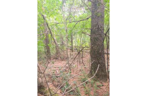 LOT 23 Wooded Glen Court, Wisconsin Dells, WI 53965