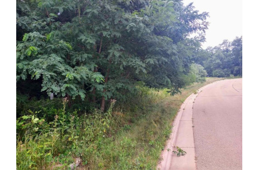 LOT 23 Wooded Glen Court, Wisconsin Dells, WI 53965