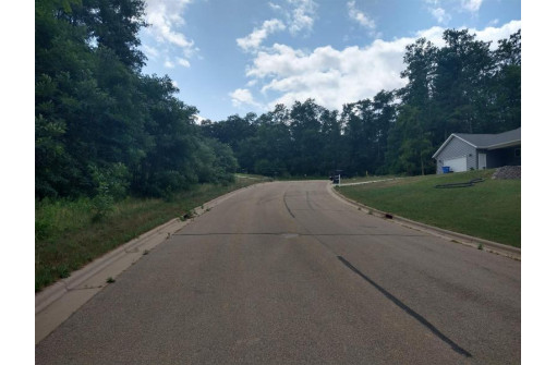 LOT 23 Wooded Glen Court, Wisconsin Dells, WI 53965