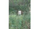 LOT 23 Wooded Glen Court, Wisconsin Dells, WI 53965