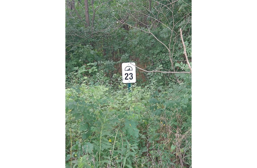 LOT 23 Wooded Glen Court, Wisconsin Dells, WI 53965