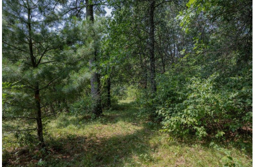 LOT 6 Derus Lane, Necedah, WI 54646