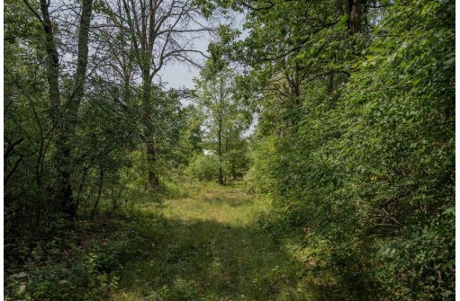 LOT 6 Derus Lane, Necedah, WI 54646