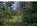 LOT 6 Derus Lane, Necedah, WI 54646