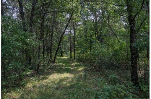 LOT 6 Derus Lane, Necedah, WI 54646