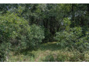 LOT 6 Derus Lane, Necedah, WI 54646