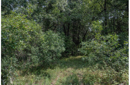 LOT 6 Derus Lane, Necedah, WI 54646