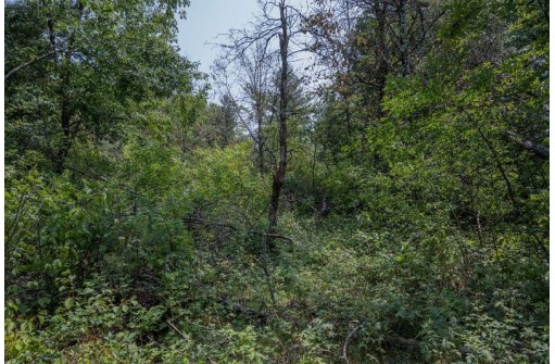 LOT 6 Derus Lane, Necedah, WI 54646