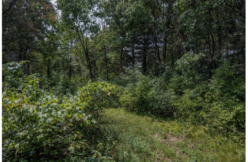 LOT 6 Derus Lane, Necedah, WI 54646