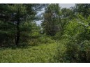 LOT 6 Derus Lane, Necedah, WI 54646