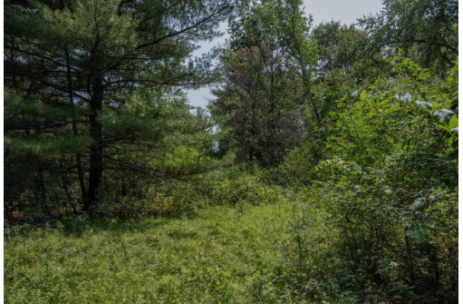 LOT 6 Derus Lane, Necedah, WI 54646