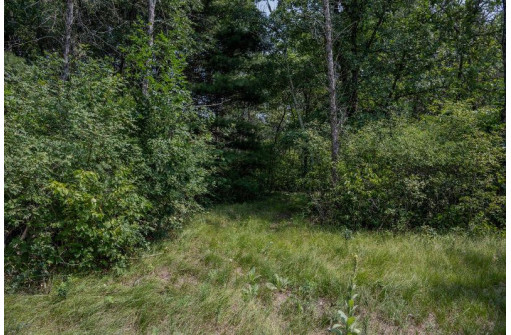 LOT 6 Derus Lane, Necedah, WI 54646