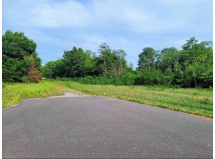 LOT 6 Holzem Circle Wisconsin Dells, WI 53965