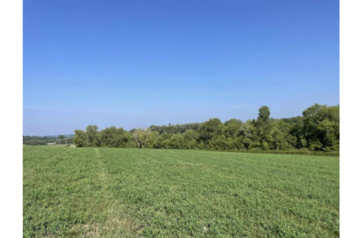 60 ACRES County Road O, Elroy, WI 53929