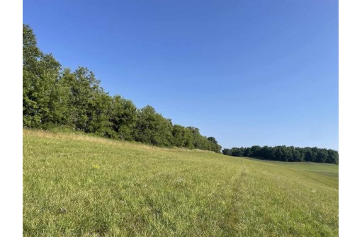 60 ACRES County Road O, Elroy, WI 53929