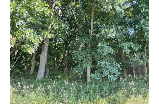 60 ACRES County Road O, Elroy, WI 53929