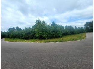 LOT 13 Holzem Circle Wisconsin Dells, WI 53965