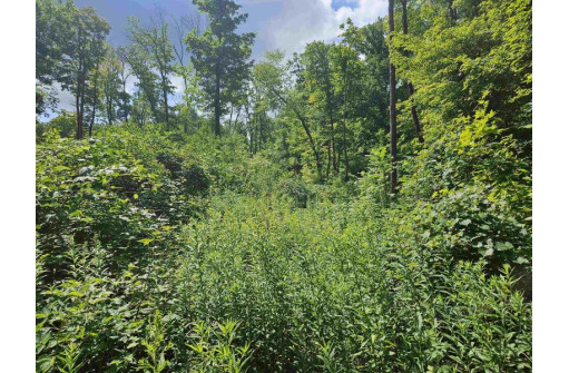 20 ACRES Denzer Road, North Freedom, WI 53951