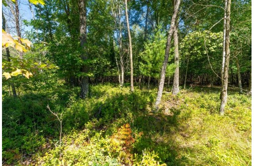 36 AC 10th Road, Westfield, WI 53964