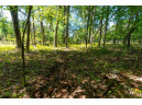 36 AC 10th Road, Westfield, WI 53964