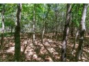 36 AC 10th Road, Westfield, WI 53964