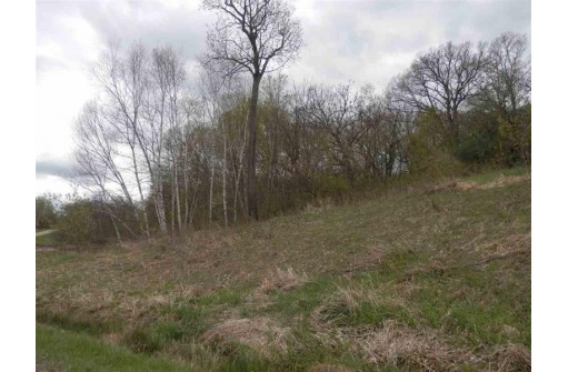 LOT 3 Spring Brook, Tomah, WI 54660