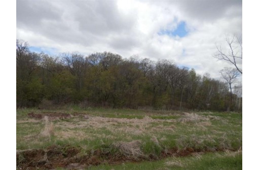 LOT 3 Spring Brook, Tomah, WI 54660