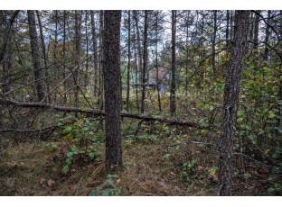 LOT 162 Pine Lane New Lisbon, WI 53950