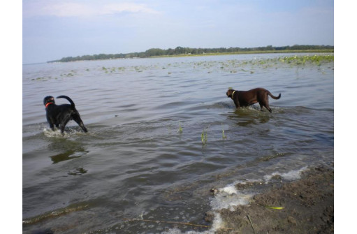 42 ACRES Lake Puckaway, Montello, WI 53949