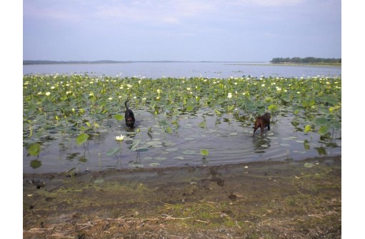 42 ACRES Lake Puckaway, Montello, WI 53949