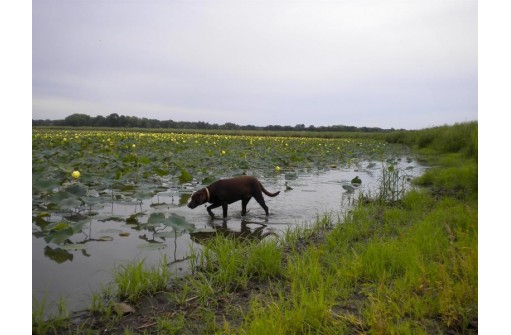 42 ACRES Lake Puckaway, Montello, WI 53949