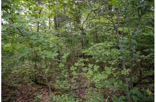 LOT 3 E Half Moon Bay Drive, New Lisbon, WI 53950