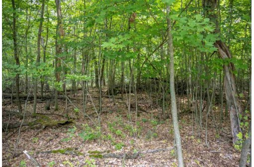 LOT 3 E Half Moon Bay Drive, New Lisbon, WI 53950