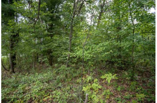 LOT 3 E Half Moon Bay Drive, New Lisbon, WI 53950