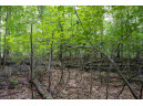 LOT 3 E Half Moon Bay Drive, New Lisbon, WI 53950