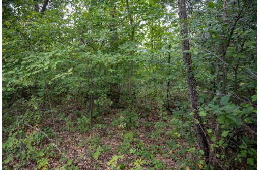 LOT 3 E Half Moon Bay Drive, New Lisbon, WI 53950