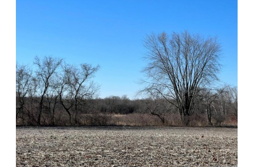 60 ACRES Lake Kegonsa Road, Stoughton, WI 53589