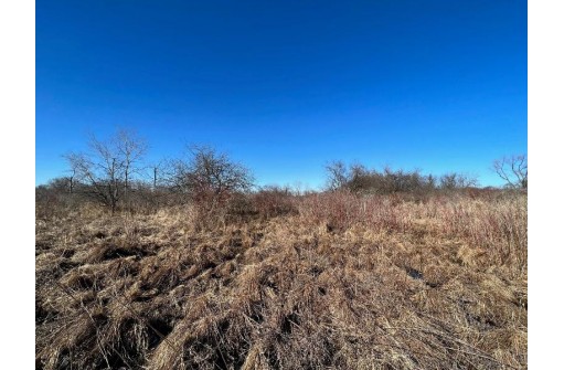 60 ACRES Lake Kegonsa Road, Stoughton, WI 53589