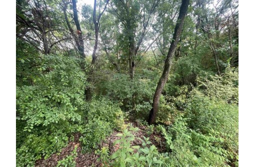 LOT 6 & 7 Elizabeth Court, Markesan, WI 53946