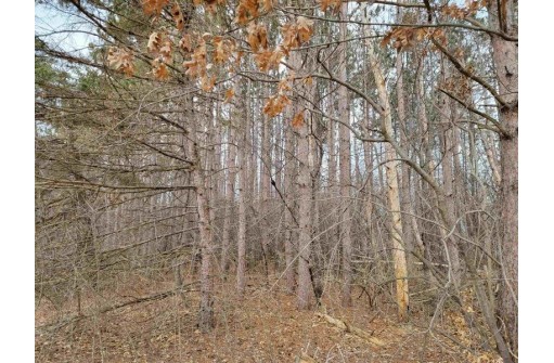 LOT 2 Edwards Lane, Brodhead, WI 53520-9999