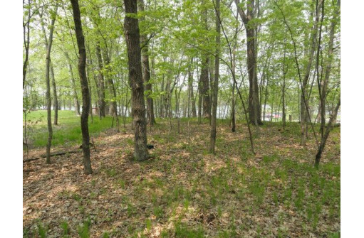 1384A Rain Dance Trail, Nekoosa, WI 54457