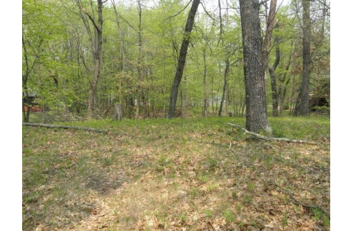 1384A Rain Dance Trail, Nekoosa, WI 54457