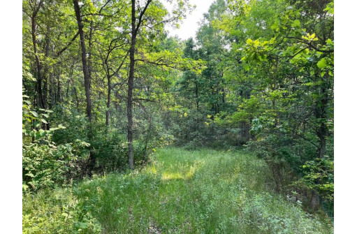 LOT 11 County Road J/14th Drive, Friendship, WI 53934