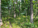 LOT 11 County Road J/14th Drive, Friendship, WI 53934