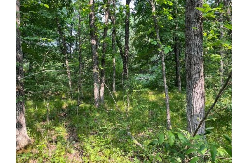 LOT 11 County Road J/14th Drive, Friendship, WI 53934