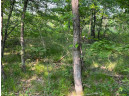 LOT 11 County Road J/14th Drive, Friendship, WI 53934