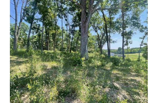 LOT 49 Mariahwynn Terrace, Lodi, WI 53555