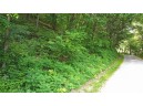 LOT 1 Riley Road, Mauston, WI 53948