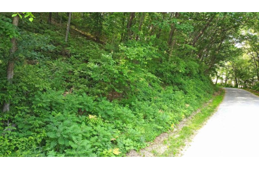 LOT 1 Riley Road, Mauston, WI 53948