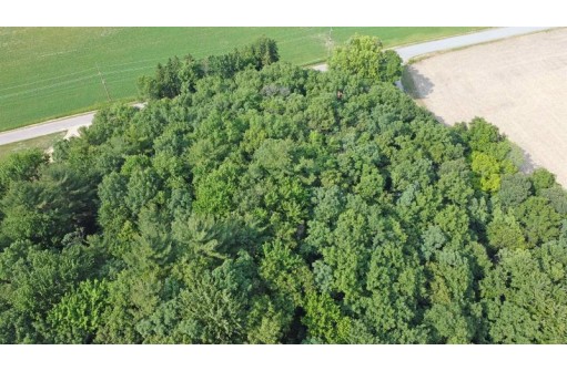 LOT 1 Riley Road, Mauston, WI 53948